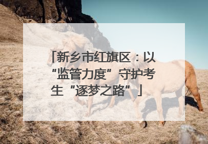 新乡市红旗区：以“监管力度”守护考生“逐梦之路”
