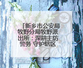 新乡市公安局牧野分局牧野派出所：深耕主防警务 守护辖区平安