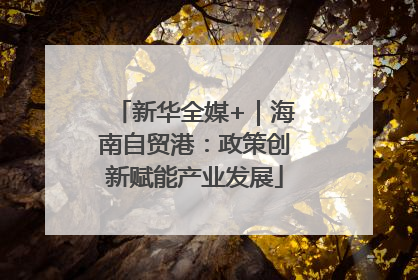 新华全媒+｜海南自贸港：政策创新赋能产业发展