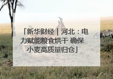 新华财经｜河北：电力赋能粮食烘干 确保小麦高质量归仓
