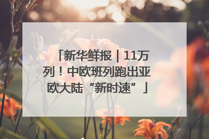 新华鲜报｜11万列！中欧班列跑出亚欧大陆“新时速”