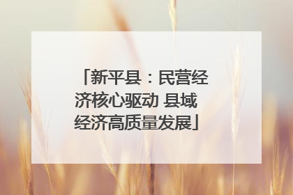 新平县：民营经济核心驱动 县域经济高质量发展
