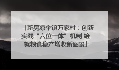 新晃凉伞镇万家村：创新实践“六位一体”机制 绘就粮食稳产增收新图景