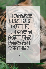 新能源装机累计达613万千瓦，申能集团在第三届碳博会发布社会责任报告