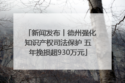 新闻发布丨德州强化知识产权司法保护 五年挽损超930万元