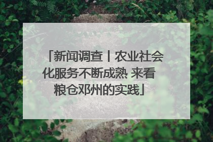 新闻调查丨农业社会化服务不断成熟 来看粮仓邓州的实践