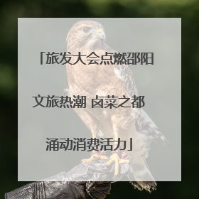 旅发大会点燃邵阳文旅热潮 卤菜之都涌动消费活力