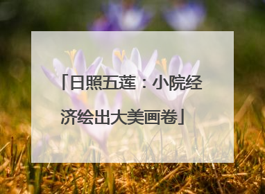 日照五莲：小院经济绘出大美画卷