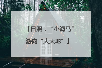 日照：“小海马”游向“大天地”