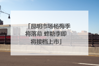 昆明市场杨梅季将落幕 蜂糖李即将接档上市