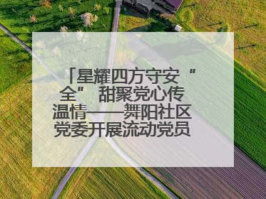 星耀四方守安“全” 甜聚党心传温情——舞阳社区党委开展流动党员建党节主题活动