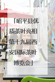 昭平县优质茶叶亮相第十九届西安国际茶叶博览会