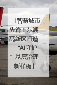 智慧城市先锋！东湖高新区打造“AI守护”基层治理新样板