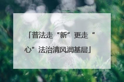 普法走“新”更走“心”法治清风润基层