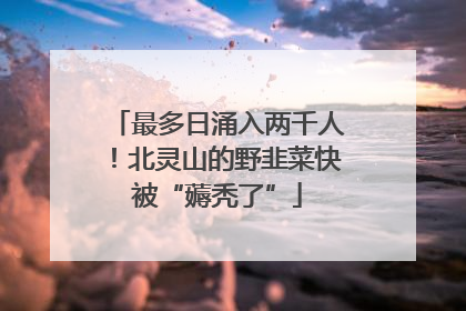 最多日涌入两千人！北灵山的野韭菜快被“薅秃了”