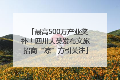 最高500万产业奖补！四川大英发布文旅招商“凉”方引关注