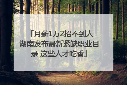 月薪1万2招不到人 湖南发布最新紧缺职业目录 这些人才吃香