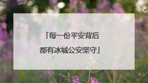每一份平安背后 都有冰城公安坚守
