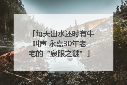 每天出水还时有牛叫声 永嘉30年老宅的“泉眼之谜”