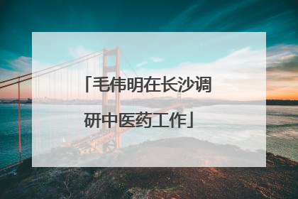 毛伟明在长沙调研中医药工作