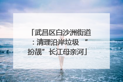 武昌区白沙洲街道：清理沿岸垃圾 “扮靓”长江母亲河