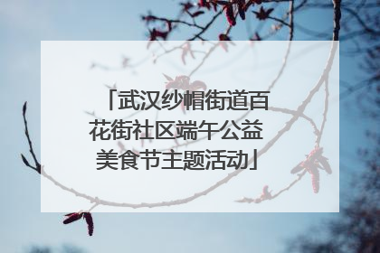 武汉纱帽街道百花街社区端午公益美食节主题活动