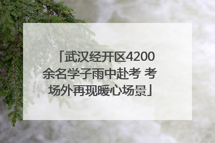 武汉经开区4200余名学子雨中赴考 考场外再现暖心场景