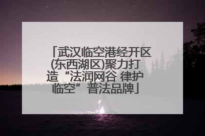 武汉临空港经开区(东西湖区)聚力打造“法润网谷 律护临空”普法品牌