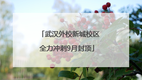 武汉外校新城校区全力冲刺9月封顶