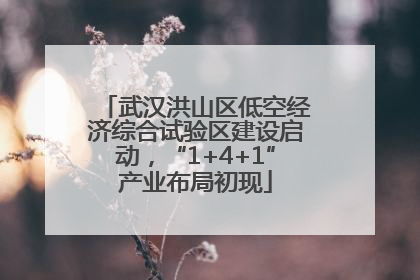 武汉洪山区低空经济综合试验区建设启动，“1+4+1”产业布局初现