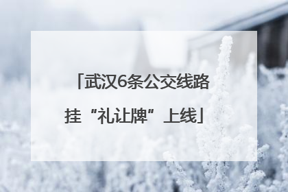 武汉6条公交线路挂“礼让牌”上线