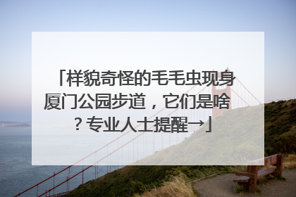 样貌奇怪的毛毛虫现身厦门公园步道，它们是啥？专业人士提醒→