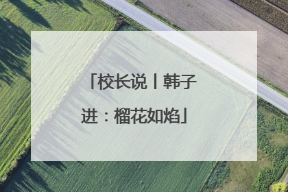 校长说丨韩子进：榴花如焰