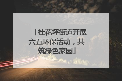 桂花坪街道开展六五环保活动，共筑绿色家园