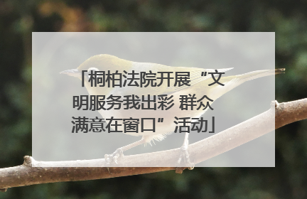 桐柏法院开展“文明服务我出彩 群众满意在窗口”活动