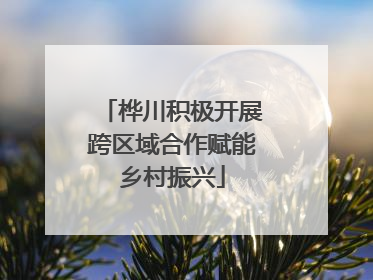 桦川积极开展跨区域合作赋能乡村振兴