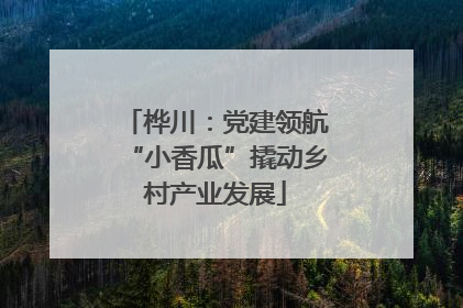 桦川：党建领航“小香瓜”撬动乡村产业发展