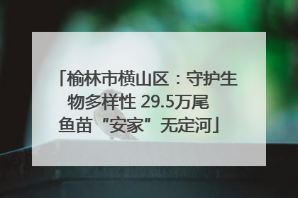 榆林市横山区：守护生物多样性 29.5万尾鱼苗“安家”无定河