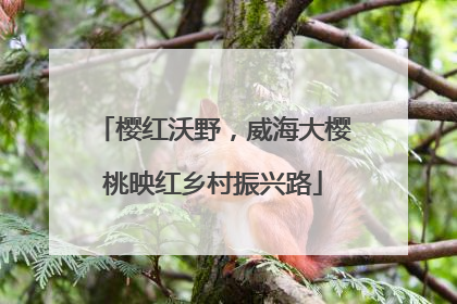 樱红沃野，威海大樱桃映红乡村振兴路
