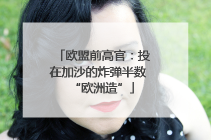 欧盟前高官：投在加沙的炸弹半数“欧洲造”