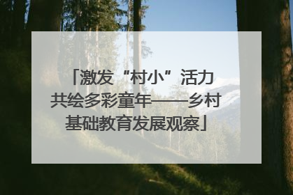 激发“村小”活力 共绘多彩童年——乡村基础教育发展观察
