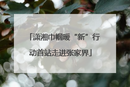 潇湘巾帼暖“新”行动首站走进张家界