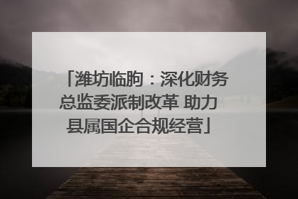 潍坊临朐：深化财务总监委派制改革 助力县属国企合规经营