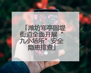 潍坊寒亭固堤街道全面开展“九小场所”安全隐患排查