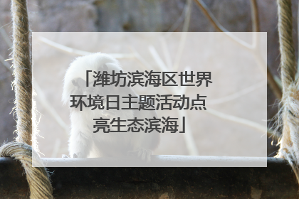 潍坊滨海区世界环境日主题活动点亮生态滨海
