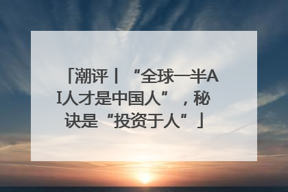 潮评丨“全球一半AI人才是中国人”，秘诀是“投资于人”