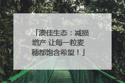 澳佳生态：减损增产 让每一粒麦穗都饱含希望！