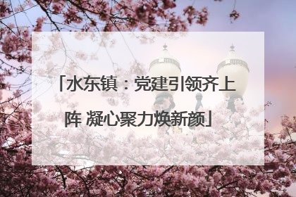 水东镇：党建引领齐上阵 凝心聚力焕新颜