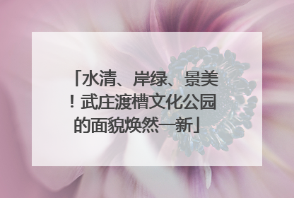 水清、岸绿、景美！武庄渡槽文化公园的面貌焕然一新