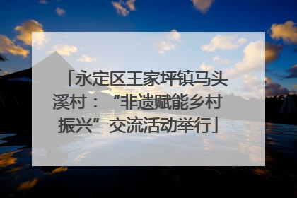 永定区王家坪镇马头溪村：“非遗赋能乡村振兴”交流活动举行